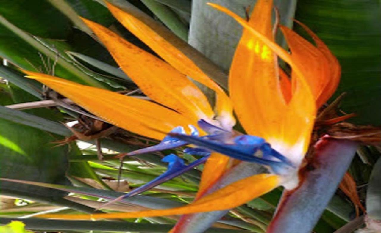 Hacienda Sol Trapiche *