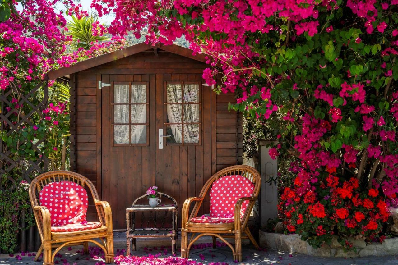Hébergement de vacances Hacienda Sol Trapiche *