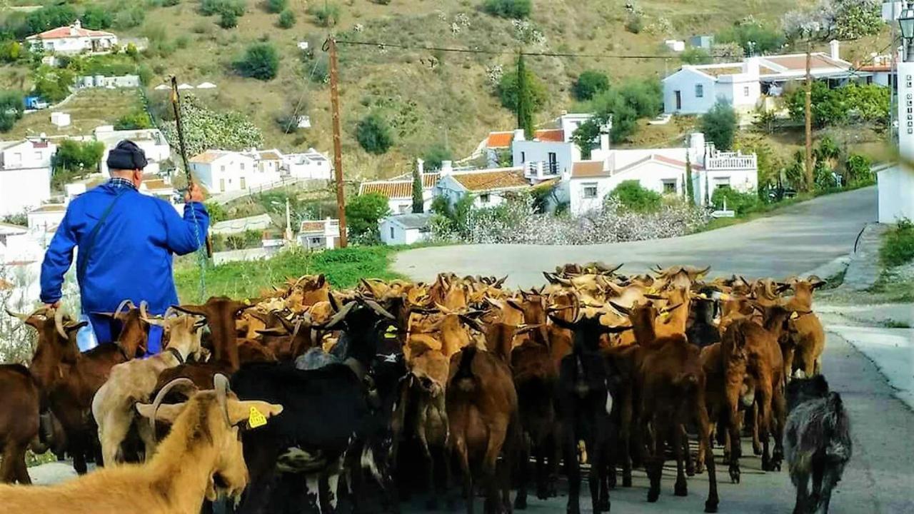 Hacienda Sol Trapiche Hébergement de vacances *
